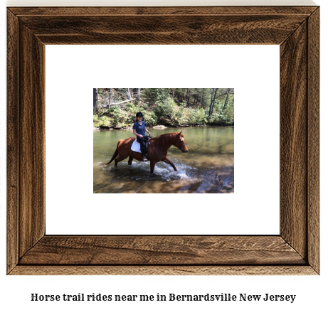 horse trail rides near me in Bernardsville, New Jersey